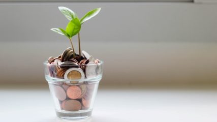 glass of coins with plant growing