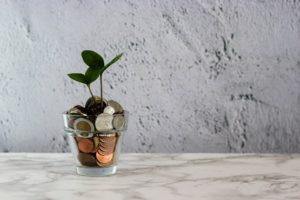 small plant growing from pot of money