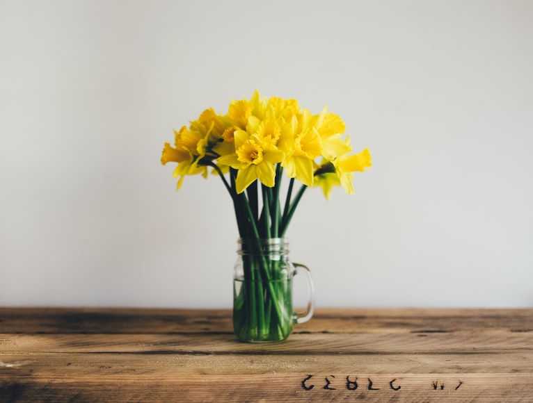 daffodils