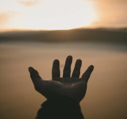 Praying hand