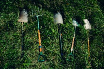 a selection of garden spades and forks lying in the grass