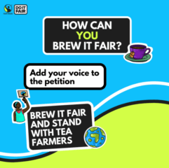 Fair trade flyer