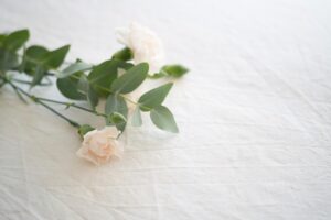 two white roses lying on a white covered table